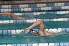 Swimming vs Babson  Wheaton College Swimming & Diving vs Babson College. - Photo By: KEITH NORDSTROM : Wheaton, Swimming